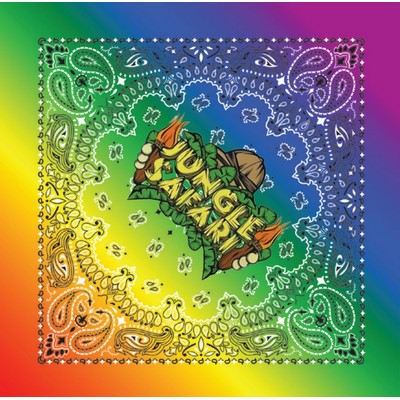 Economy Grade Paisley Bandanna 22"x22" Pre-printed Dyed Color/Design 100% Cotton (23 Stock Colors)