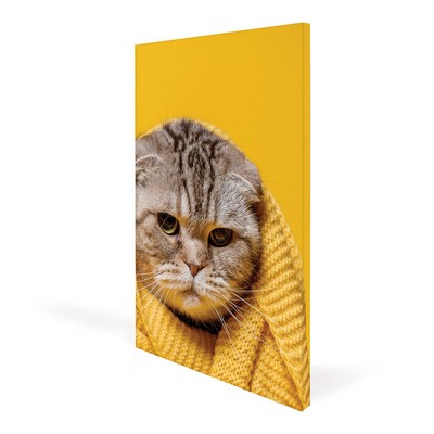 18x24 in. Canvas Frame (Graphic Package)